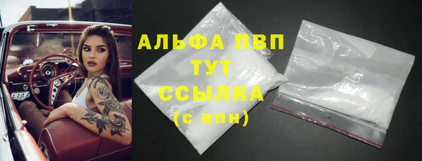 винт Алексин