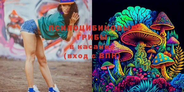 винт Алексин