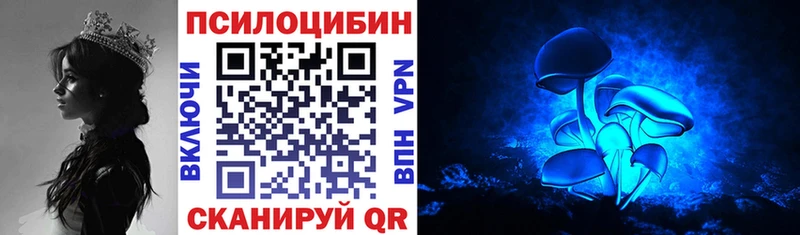 МЕГА как войти  Уссурийск  Галлюциногенные грибы Psilocybe 